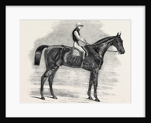 Weathergage, Winner of the Cesarewitch Stakes, at Newmarket, 1852 by Anonymous