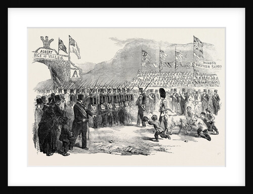 Reception of Her Majesty, Queen Victoria, at Bangor, 1852 by Anonymous