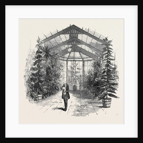 The Conservatory at Stratfieldsay by Anonymous