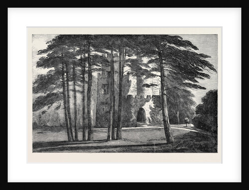 The Castle De Sancto Laudo, Newton-Park, Somerset by Anonymous