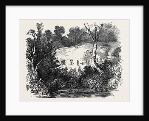 Meeting of the Archaeological Institute, at Newcastle Upon Tyne: The Hermitage, Warkworth. by Anonymous