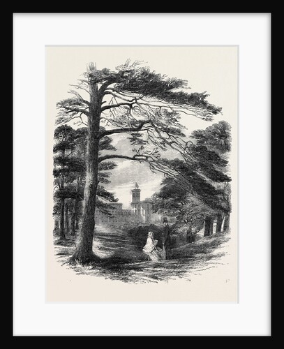 Osborne, View from the Park by Anonymous