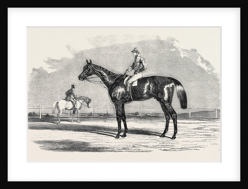 Kingston, the Winner of the Goodwood Cup, 1852 by Anonymous