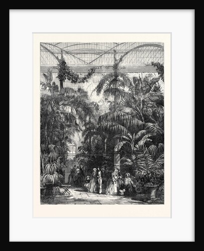 Centre of the Great Palm-House at the Royal Botanic Gardens of Kew by Anonymous