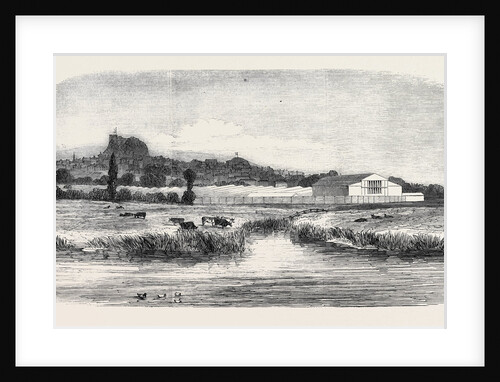 The Royal Agricultural Society of England, Meeting at Lewes: The Cattle Show, from the River, 1852 by Anonymous