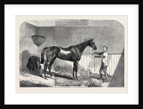 Lord John Scott's the Reiver, Winner of the July Stakes, at Newmarket, 1852 by Anonymous