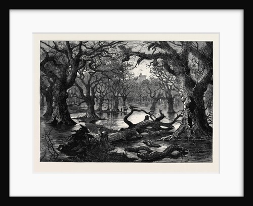 The Thames Floods: Scene in the Home Park Windsor 1879 by Anonymous