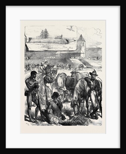 The Zulu War: Fort Ekowe 1879 by Anonymous