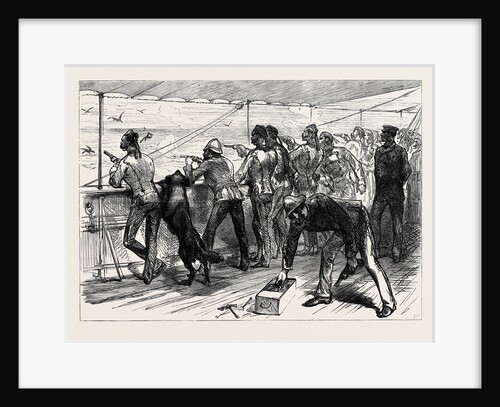 The Zulu War: Practising for the Zulus on Board the Pretoria on the Voyage to Natal 1879 by Anonymous