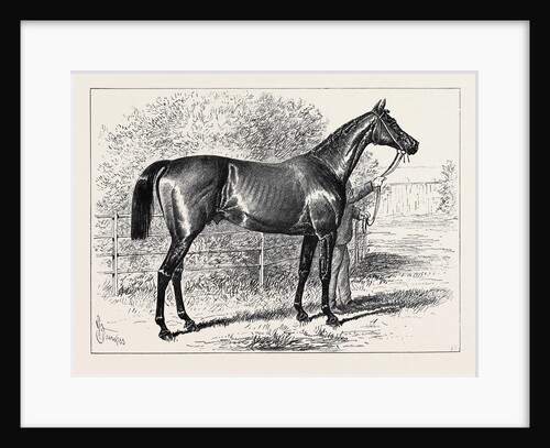 Isonomy Winner of the Ascot Cup 1879 by Anonymous