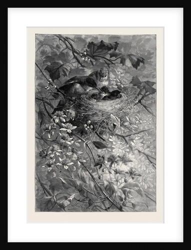 A Home Circle by Anonymous