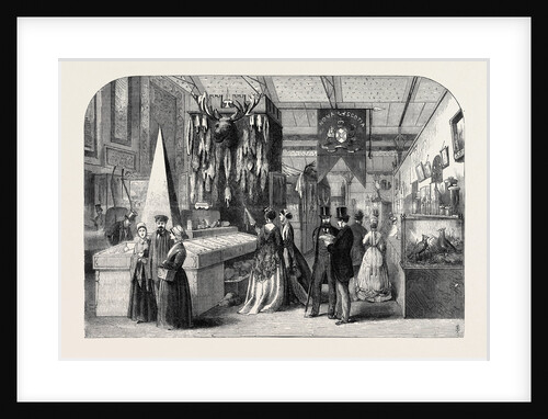 The Paris International Exhibition: The Nova Scotia Section France 1867 by Anonymous