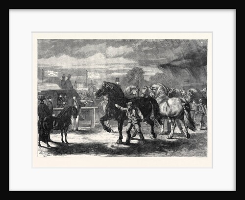 Suffolk Cart Horses at the Exhibition of the Royal Agricultural Society at Bury St. Edmunds 1867 by Anonymous