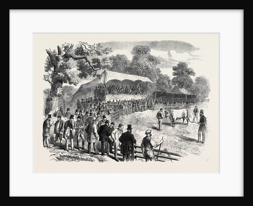 Sale of Shorthorns at the Royal Shaw Farm Windsor UK 1867 by Anonymous