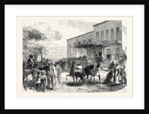 The Abyssinian Expedition: Transport Officers Buying Mules Opposite Shepheard's Hotel Cairo Egypt 1867 by Anonymous