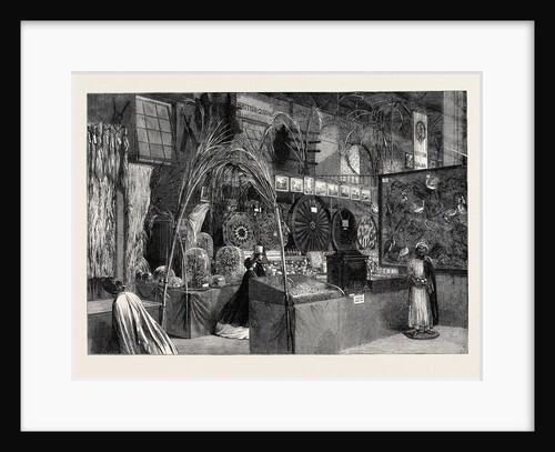 The International Exhibition: British Guiana and Barbadoes Courts 1862 by Anonymous
