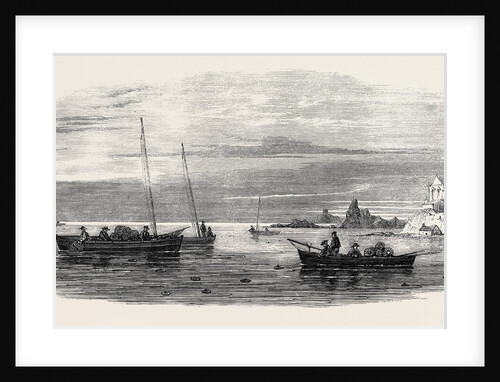 The Shellfish Supplies: Crab Fishing Off Fife Coast 1862 by Anonymous