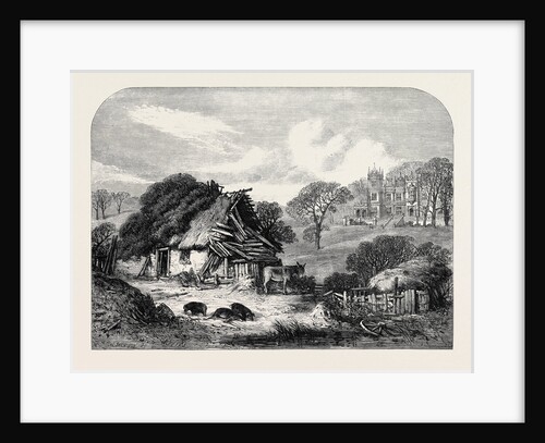 Squire Mayduke's Daughter: Will Teague's House by Anonymous