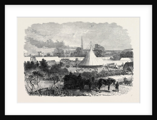 Bath and West of England Agricultural Society's Meeting at Salisbury: The Show Yard UK 1866 by Anonymous