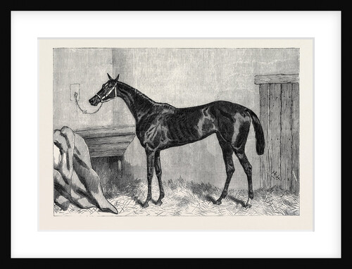 Tormentor the Winner of the Oaks 1866 by Anonymous