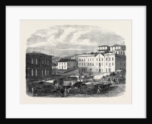 Morning Market at Port Elizabeth 1866 by Anonymous