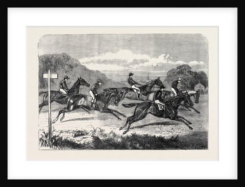 Salisbury Races: Start for the Wiltshire Stakes UK 1866 by Anonymous