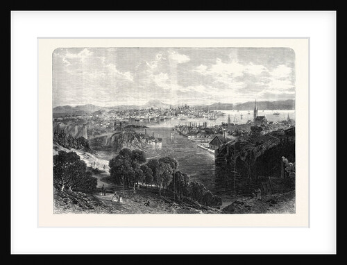 The Town and Harbour of St. John New Brunswick 1866 by Anonymous
