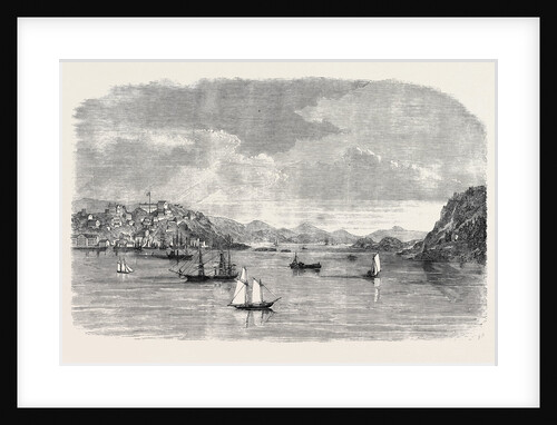 Eastport Maine the Rendezvous of Fenians in the United States 1866 by Anonymous