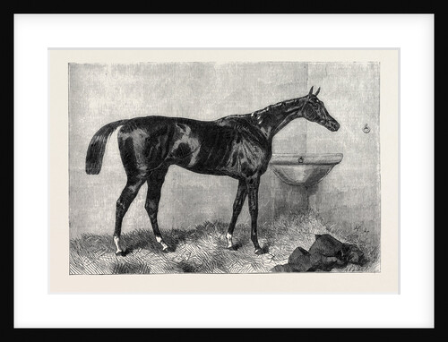 Mr. R. Sutton's Lord Lyon Winner of the Two Thousand Guinea Stakes at Newmarket UK 1866 by Anonymous