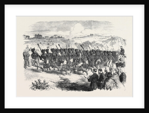 Native Games at Te Papa Camp Tauranga New Zealand: War Dance of the Ngaiterangi 1866 by Anonymous