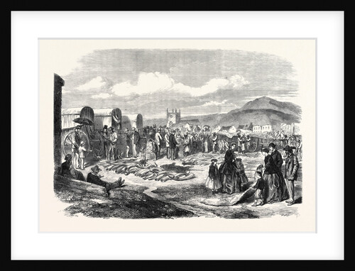 Ivory and Skins for Sale in the Grahamstown Market Cape Colony 1866 by Anonymous