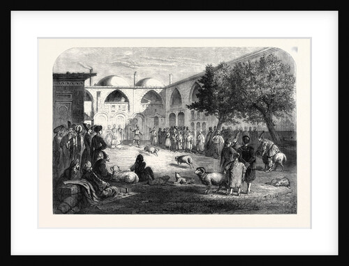 Ram-Fighting at the Persian Khan Constantinople 1866 by Anonymous