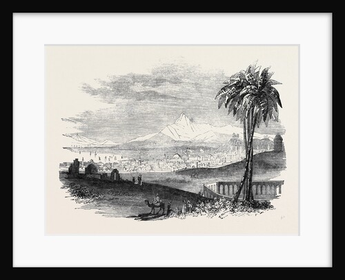 City of Tunis by Anonymous