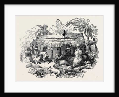 New Zealand Dinner by Anonymous