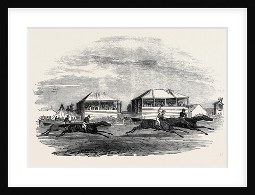 Croxton Park Races, the Race by Anonymous