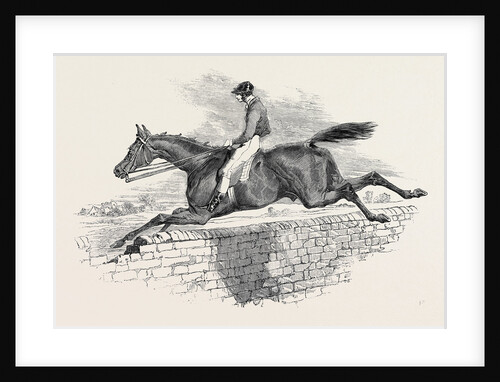 Lottery, the Celebrated Steeple Chase Winner. by Anonymous