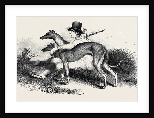 Coursing, Greyhounds. by Anonymous