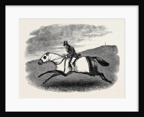 Horse Training. by Anonymous