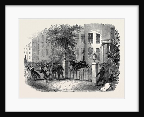 Scene in Privy Gardens, Whitehall, on Sunday Last. by Anonymous