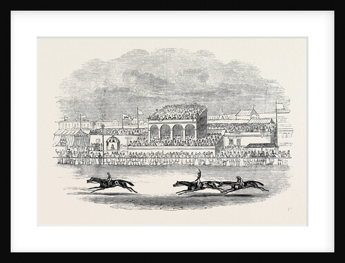 Chester Races, Red Deer Winning the Chester Cup, from a Sketch Made on the Spot by Anonymous