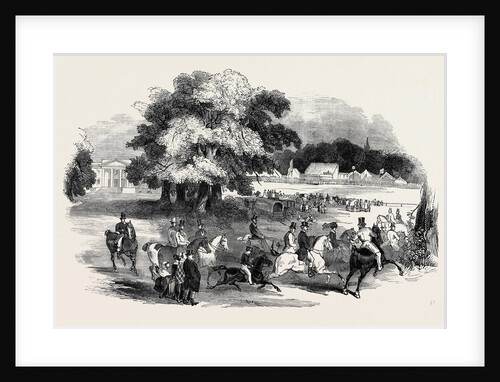 Gorhambury Races, from a Sketch in the Park by Anonymous