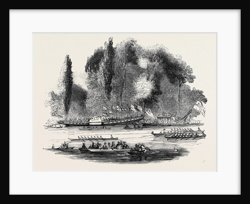The Thames Regatta. by Anonymous