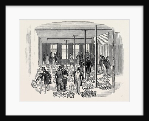 Sale of West India Pine Apples. by Anonymous