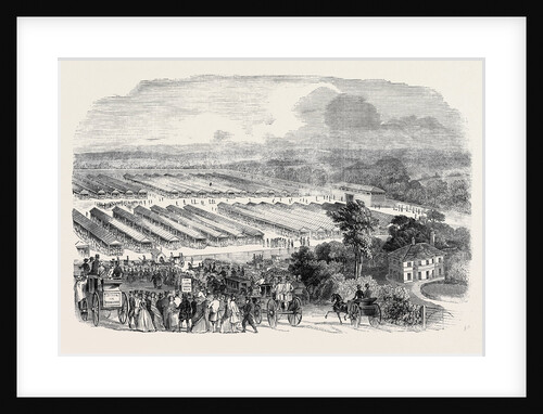 The Cattle Show, Portswood. by Anonymous