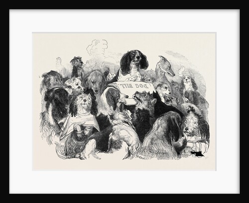 The Dog Bill Committee by Anonymous