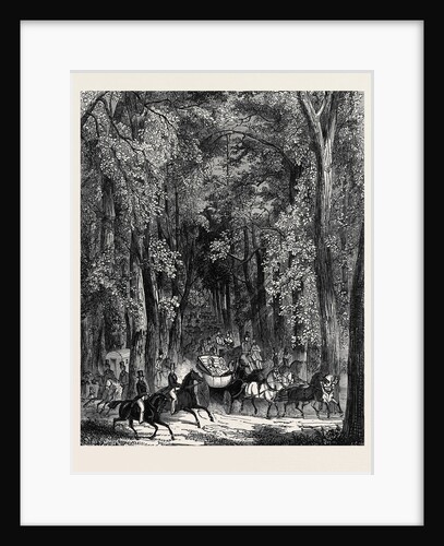 Road Through Goodwood Park. by Anonymous