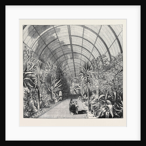 The Great Chatsworth Conservatory: The Interior, from the Central Walk by Anonymous
