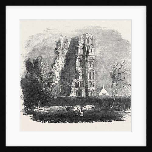 Ruins of the Augustine Monastery, Canterbury by Anonymous