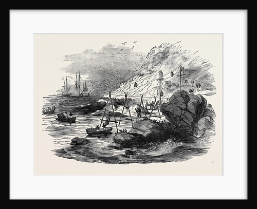 Ichaboe, Mode of Shipping the Guano by Anonymous