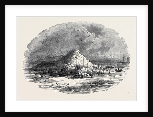 The Island of Ichaboe by Anonymous